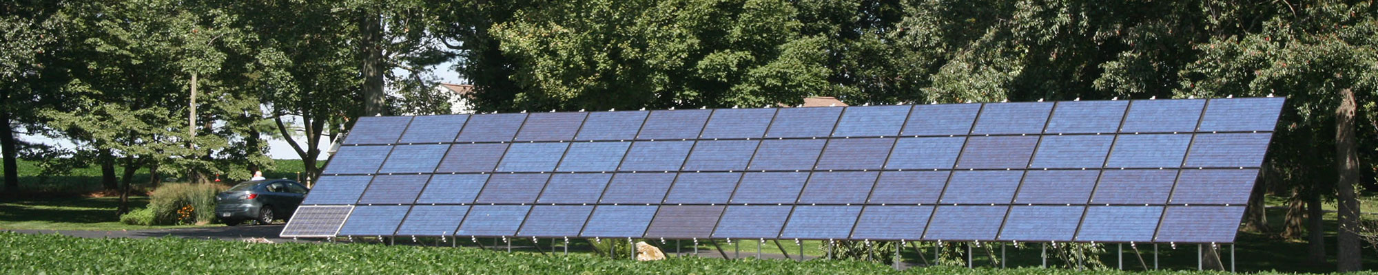 solar panels and trees