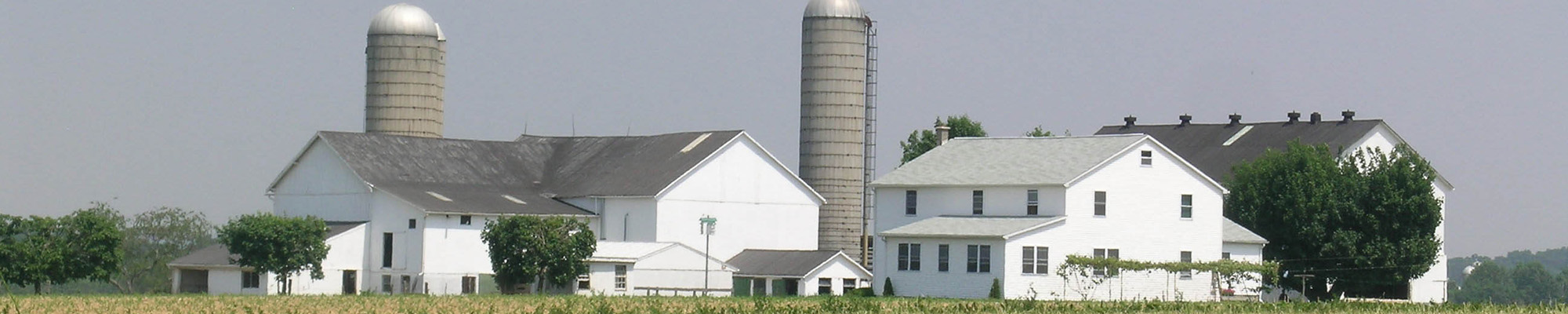 farmland and farm house