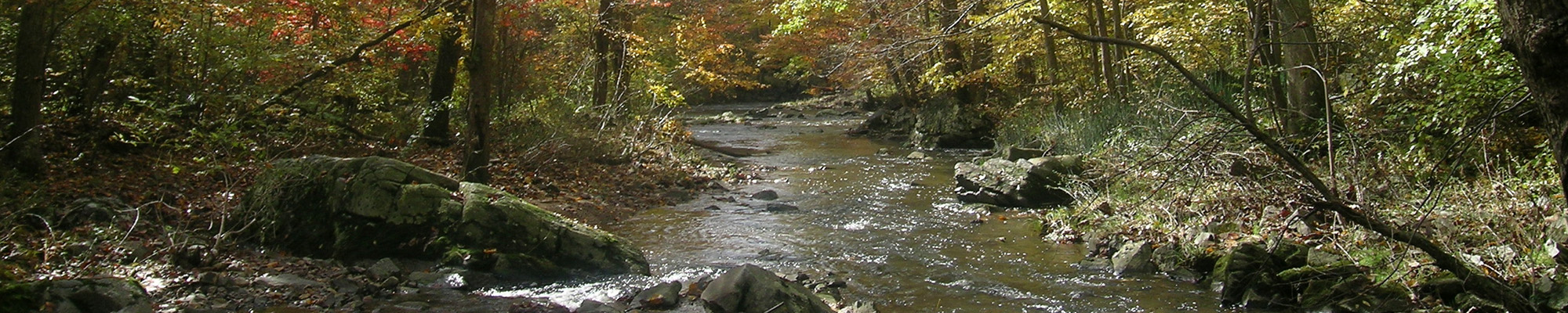 stream with riparian buffer