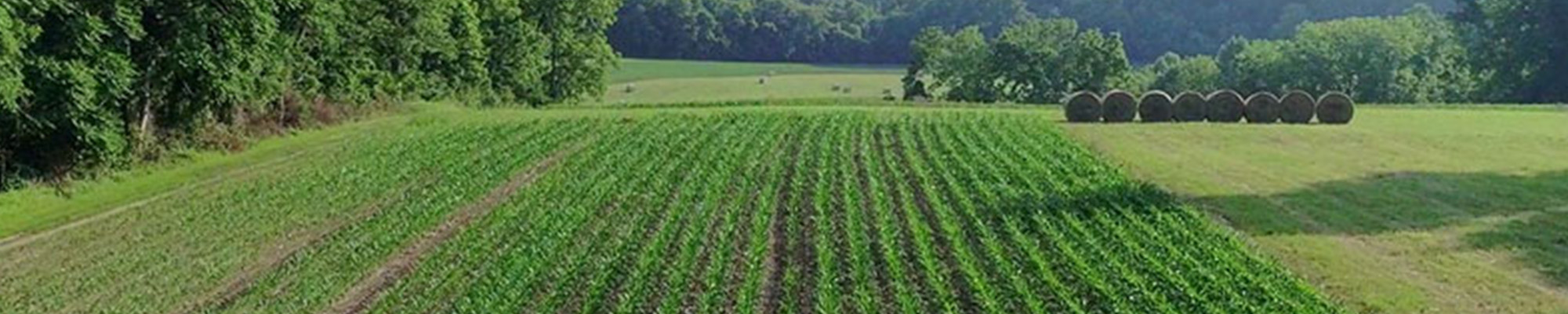 farm field