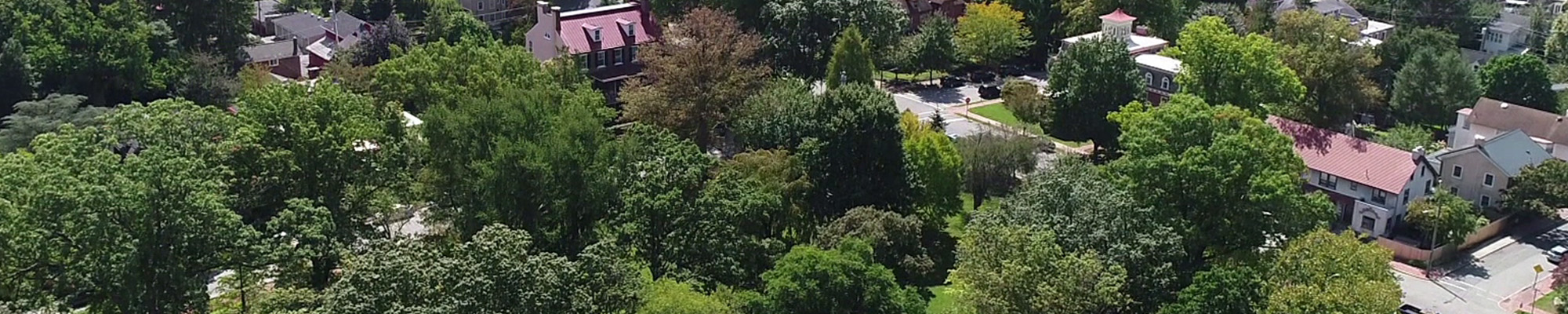 aerial view of urban area with a lot of trees