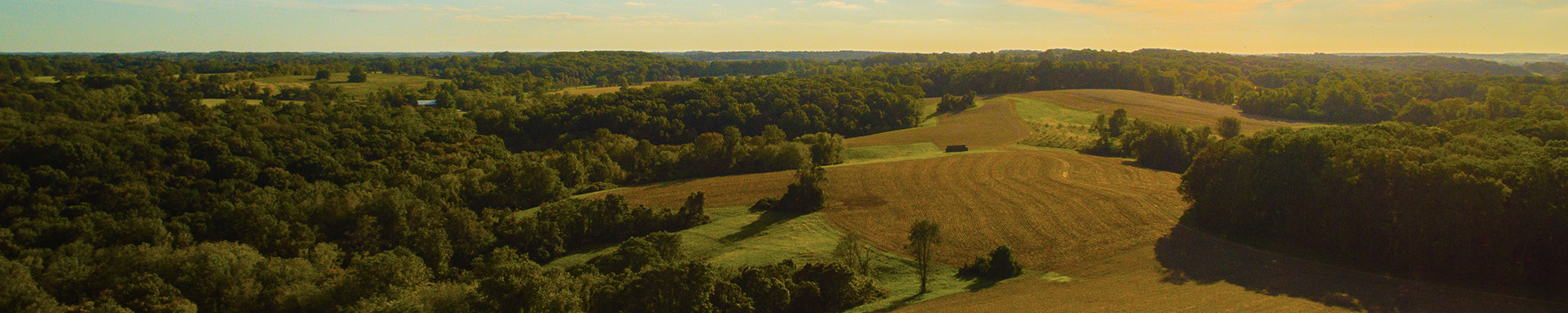 open field